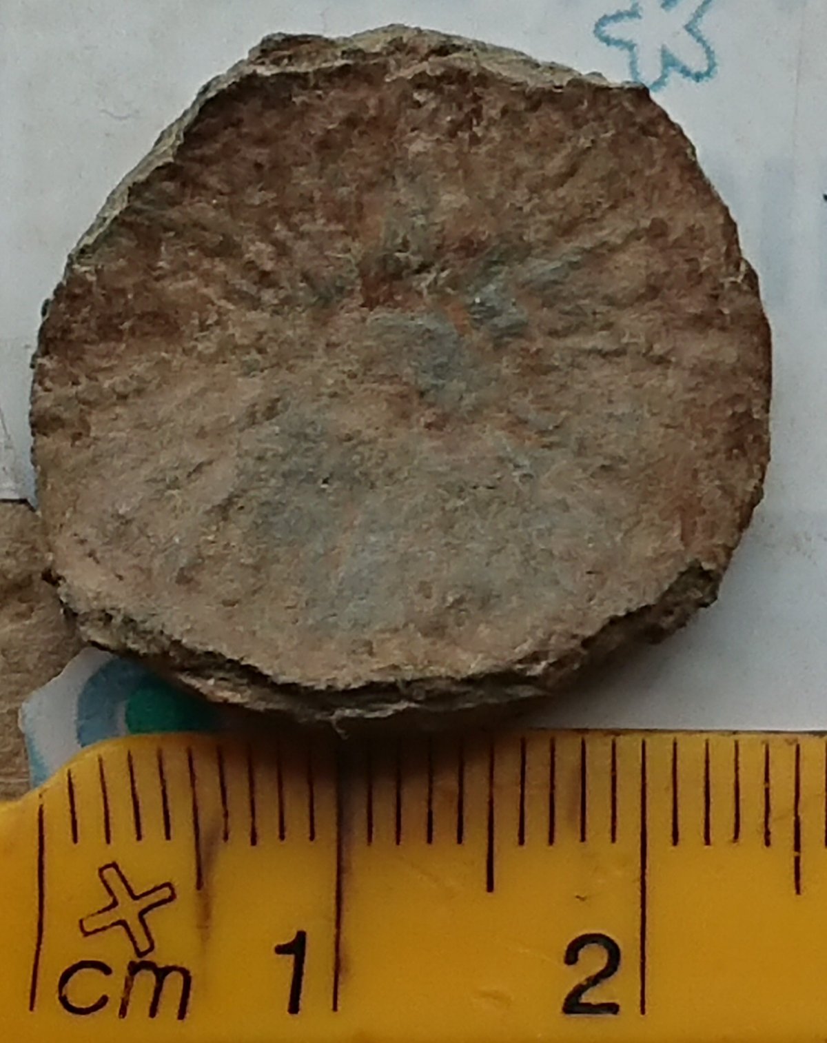 New-Member-Another-Ground-Find-For-ID